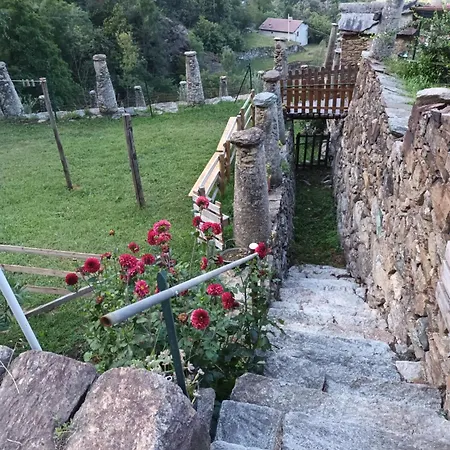 Bed & Breakfast La Vetta Del Gufo 3*