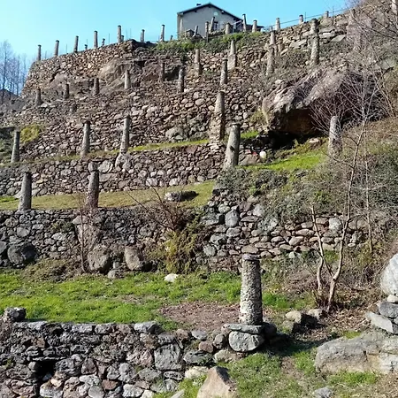 La Vetta Del Gufo Bed & Breakfast 3*