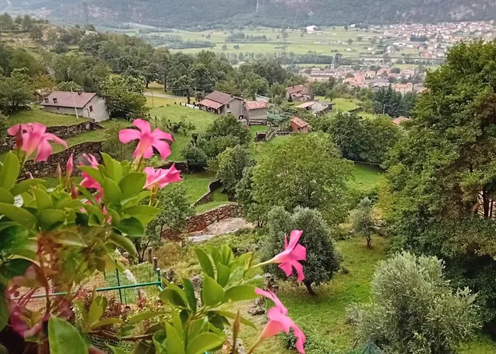 La Vetta Del Gufo