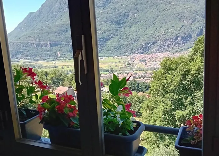 Bed & Breakfast La Vetta Del Gufo 3*